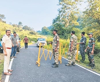 AP election