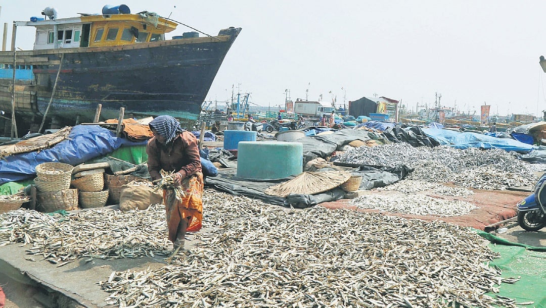 For Andhra Pradesh fisherwomen, a cyclone means more than lost fishing days