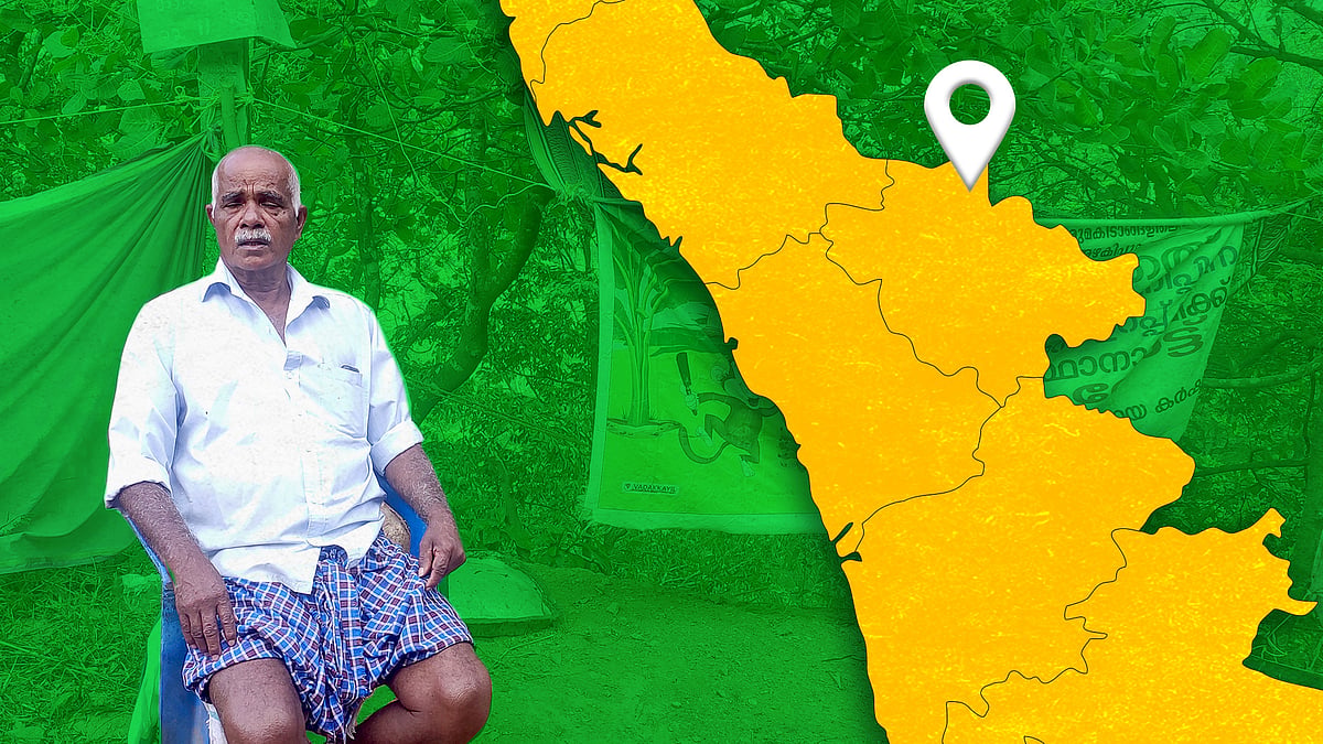 थॉमस का कहना है कि उनकी काजू की फसल बुरी तरह प्रभावित हुई है.