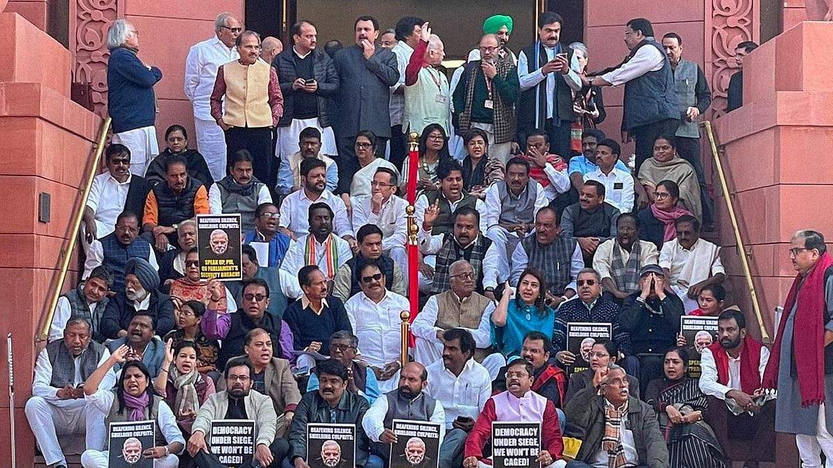 Suspended MPs protesting on the stairs of the Parliament. 