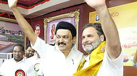 Congress-DMK split: How Rahul-Stalin bonhomie collapsed over Vijay’s rise