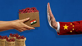 China rejects Indian chillis, Japan our mangoes. Who is checking what we eat?