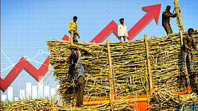 Adityanath says UP has 7 months of sugar. Here’s what that calculation misses