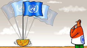 The UN’s flaw is its design, and India’s seat won’t fix it