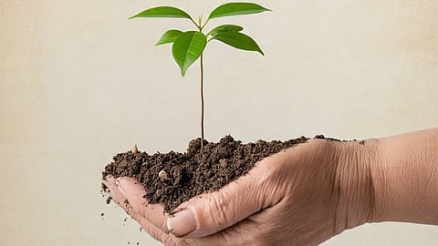 environment day, Symbolic image (AI Image)