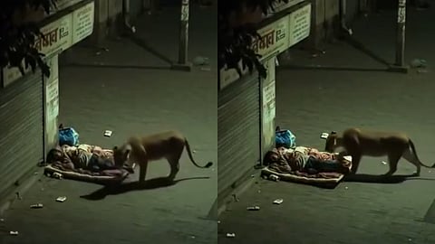 Images from Viral Video