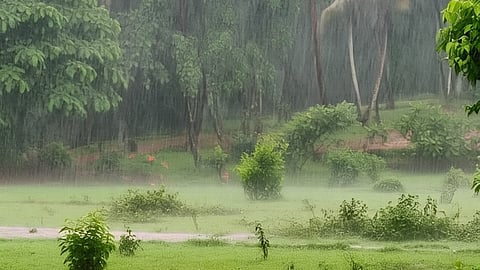 kerala weather update Heavy rains will continue Strong winds possible and orange alert in two districts