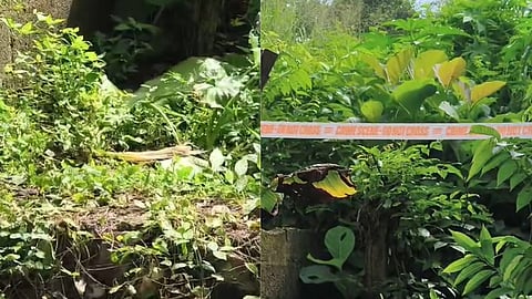 Cause of death of newborn in Pathanamthitta not murder Postmortem report reveals details