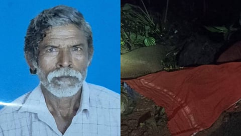 palakkad mundoor elephant attack One dead