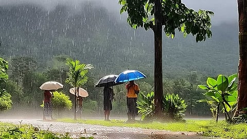Rain