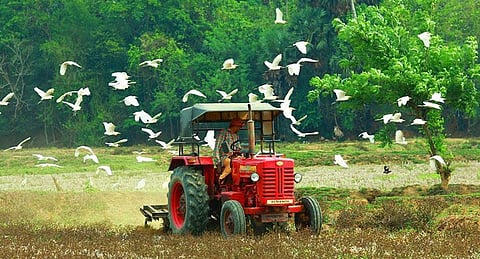 പ്രതീകാത്മ ചിത്രം