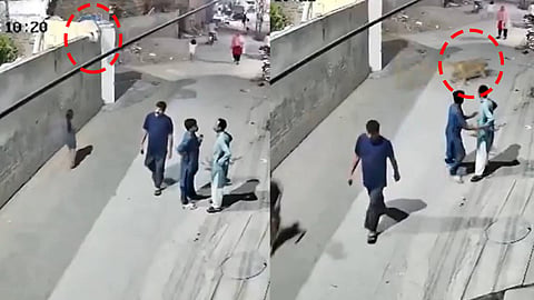 lion attack, lahore, Pet lion attack, Pakistan, CCTV Visuals,  ലഹോർ, സിംഹം ആക്രമണം, ലാഹോർ ആക്രമണം, പാകിസ്ഥാൻ