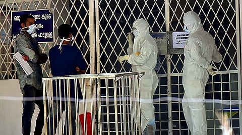 Nipah virus