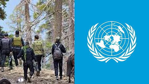 UN Report on TRF