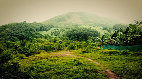 Kavalapara
