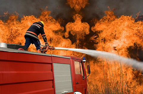 forest fire