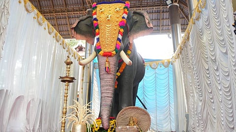 Image:  PETA India 