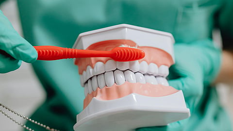 teeth