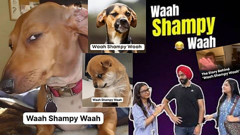 Story behind waah shampy waah meme
