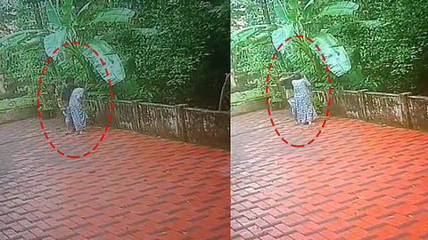 കവർച്ചയുടെ ദൃശ്യങ്ങൾ
