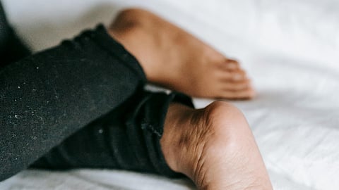 leg