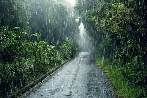 മഴമുന്നറിയിപ്പ്