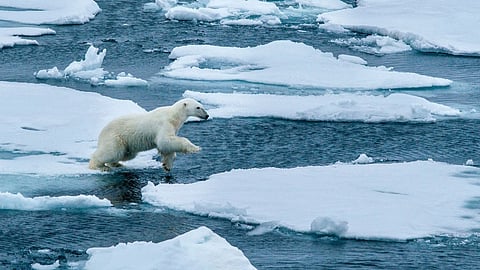 climate change