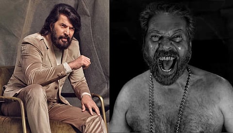 മമ്മൂട്ടി, കടയും തോറും കാതല്‍ കനക്കുന്ന മഹാശാഖി!
