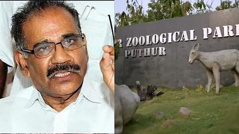 തെരുവ് നായ്ക്കള്‍ ആക്രമിച്ച് മിനുട്ടുകള്‍ക്കകം പുള്ളിമാനുകള്‍ ചത്തു; അന്വേഷണം നടത്തി റിപ്പോര്‍ട്ട് സമര്‍പ്പിക്കാന്‍ സമിതി രൂപീകരിച്ചു: എ.കെ. ശശീന്ദ്രന്‍