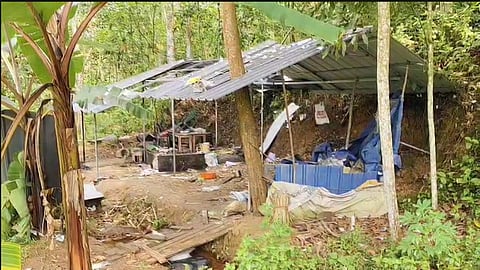 പാലോട് പടക്ക നിര്‍മാണശാലയില്‍ പൊട്ടിത്തെറി, മൂന്ന് പേര്‍ക്ക് പരിക്ക്; ഒരാളുടെ നില ഗുരുതരം