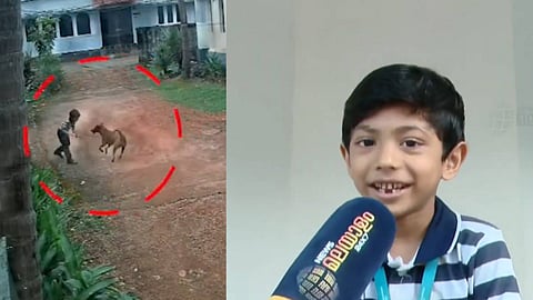 നവീദ് 