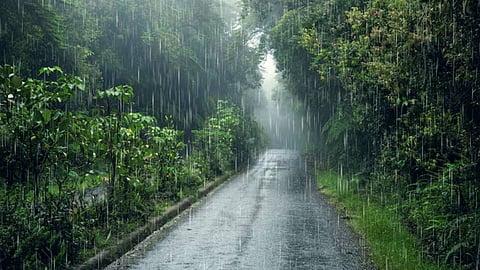 സംസ്ഥാനത്ത് അഞ്ച് ദിവസത്തേക്ക് മഴയ്ക്ക് സാധ്യത; മൂന്ന് ജില്ലകളിൽ യെല്ലോ അലേർട്ട്