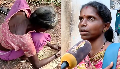 തദ്ദേശ തെരഞ്ഞെടുപ്പിന്റെ ആരവങ്ങളോ പ്രചാരണ ബോര്‍ഡുകളോ ഇല്ല; ഒന്നുമറിയാതെ ബദിയടുക്കയിലെ കൊറഗര്‍ കുട്ട മെടയുന്ന തിരക്കിലാണ്