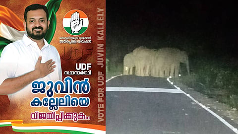 മലക്കപ്പാറയിൽ സ്ഥാനാർഥിക്ക് നേരെ പാഞ്ഞടുത്ത് കാട്ടാനക്കൂട്ടം; ആക്രമണം  തെരഞ്ഞെടുപ്പ് പ്രചാരണത്തിനിടെ