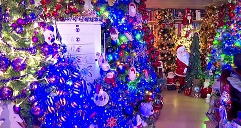 CHRISTMAS TREES