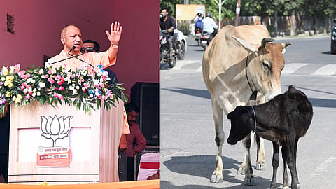 Yogi Adityanath
