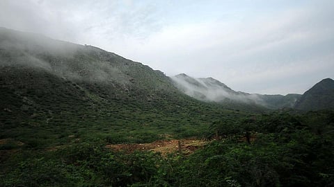 ആരവല്ലി മലനിരകൾ