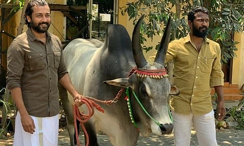സൂര്യ-വെട്രിമാരൻ ചിത്രം 'വാടിവാസൽ'