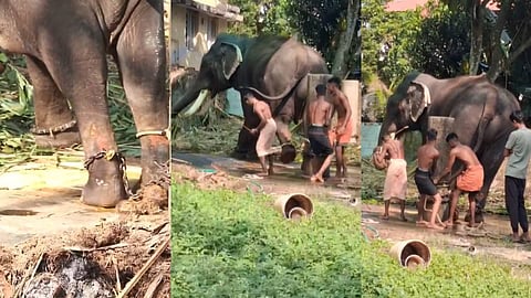 ആനയെ മർദിക്കുന്ന ദൃശ്യങ്ങൾ