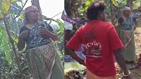 കണ്ണൂരിൽ തൊഴിലുറപ്പ് തൊഴിലാളിക്ക് ജോലി നിഷേധിച്ചെന്ന പരാതി;  പേരാവൂർ പഞ്ചായത്തിൽ നിന്ന് റിപ്പോർട്ട്‌ തേടും