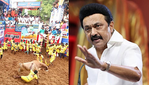 ജെല്ലിക്കെട്ട് വിജയിക്ക് സര്‍ക്കാര്‍ ജോലി; പ്രഖ്യാപനവുമായി എം.കെ. സ്റ്റാലിന്‍ 