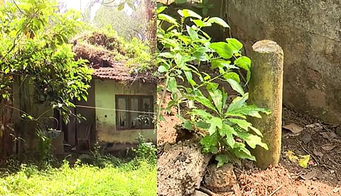 പാലക്കാട്-കോഴിക്കോട് ഗ്രീന്‍ഫീല്‍ഡ് ഹൈവേയ്ക്ക് സ്ഥലം നല്‍കിയവര്‍ക്ക് നഷ്ടപരിഹാരം വൈകുന്നു; നൂറിലേറെ പേര്‍ ദുരിതത്തില്‍ | എക്സ്ക്ലൂസീവ്