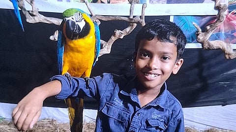 ആൽജോ