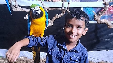 ആൽജോ