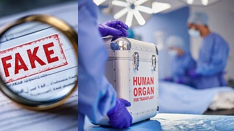 Fake Documents for Organ Donation Case 