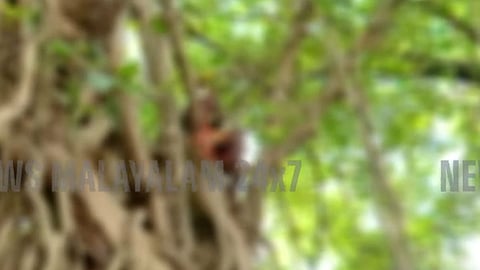 സെക്രട്ടറിയേറ്റിന് മുമ്പിൽ ജീവനൊടുക്കുമെന്ന ഭീഷണിയുമായി യുവാവ് 