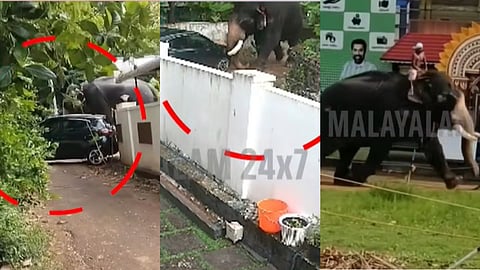 തൃശൂരിൽ ആന ഇടഞ്ഞോടിയ സംഭവം: അന്വേഷണത്തിന് ഉത്തരവിട്ട് ജില്ലാ ഭരണകൂടം