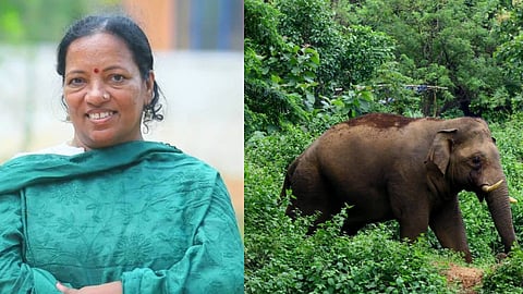 Minister K.A. Thulasi intervenes in the wildlife issue in Aralam