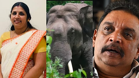 പുത്തുമല കാട്ടാന ആക്രമണം; പ്രതിഷേധവുമായി നാട്ടുകാർ,   
റിപ്പോർട്ട്  തേടി മന്ത്രി, കൊല്ലപ്പെട്ട ജെസിയുടെ കുടുംബത്തിന്  5 ലക്ഷം രൂപ കൈമാറും 