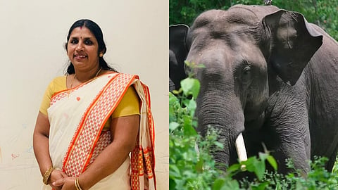 കാട്ടാന ആക്രമണത്തിൽ യുവതിക്ക് ദാരുണാന്ത്യം